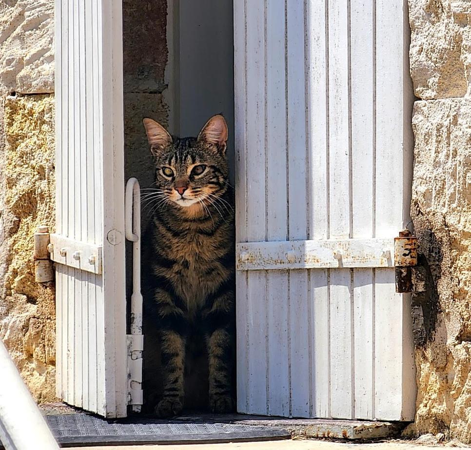Gite Le Bonheur Hiersac Dış mekan fotoğraf