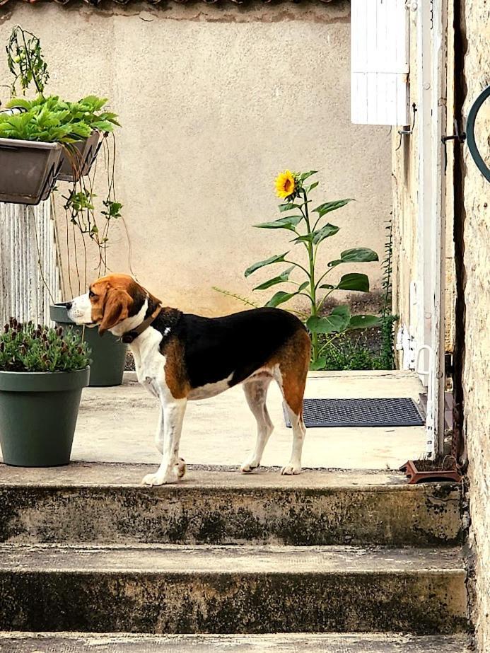 Gite Le Bonheur Hiersac Dış mekan fotoğraf