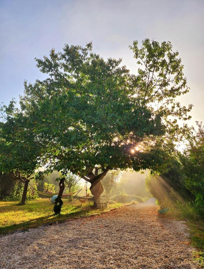 Gite Le Bonheur Hiersac Dış mekan fotoğraf